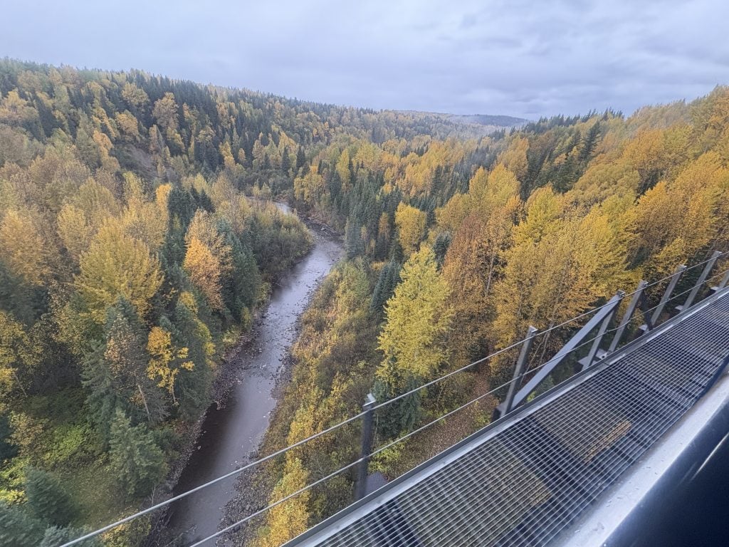 Autumn colors seen from a high bridge en route  from Quesnel to Jasper on the Rocky Mountaineer Rainforest to Goldrush journey
