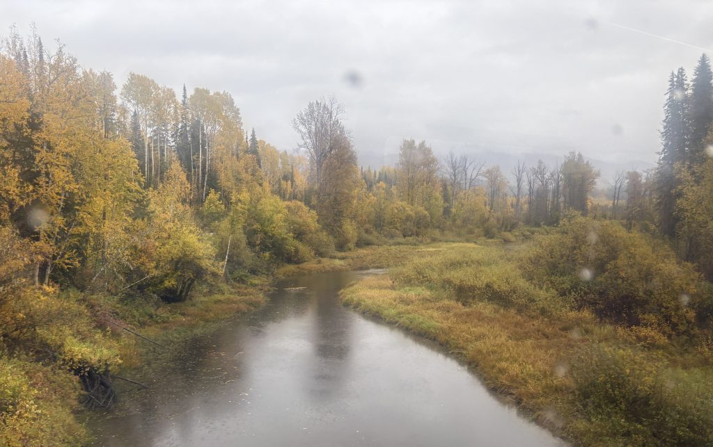 Misty marsh en route  from Quesnel to Jasper on the Rocky Mountaineer Rainforest to Goldrush journey