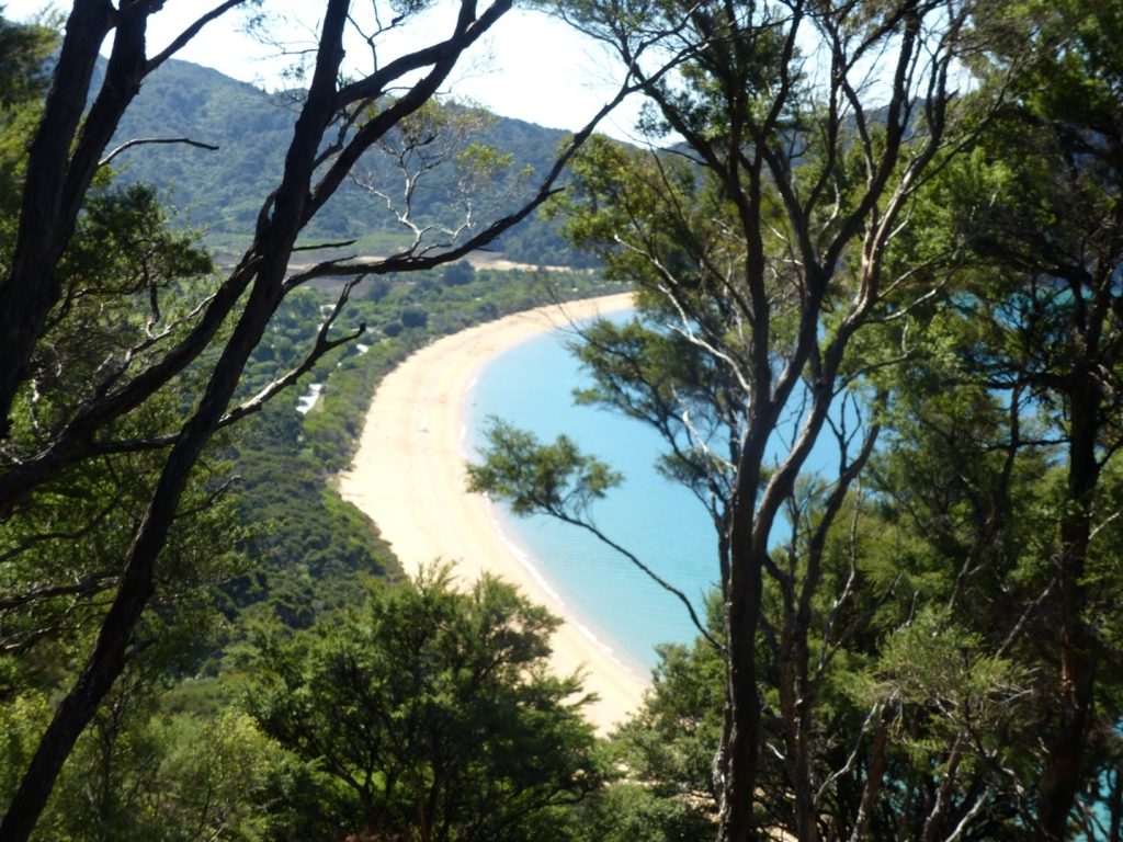 Stunning view of a golden sand beach and turquoise water seen from a high hill in Abel Tasman National Park in New Zealand