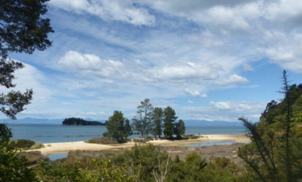 View of the sea and mountains beyound seend from the track in Abel Tasman National Park