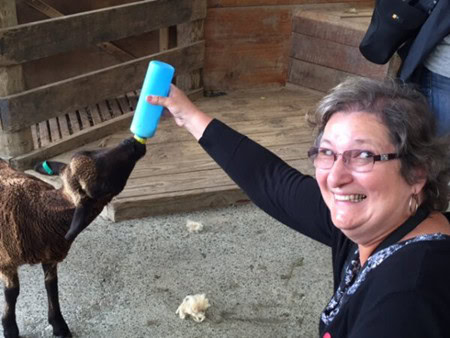 Carol Cram feeding a lamb at Sheepworld in New Zealand