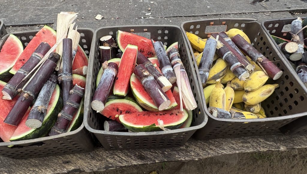 Fruit to be fed to elephants at Sunshine for Elephants