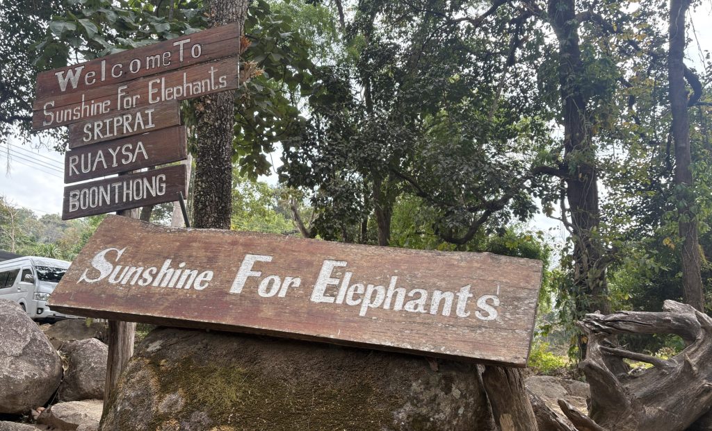 Sign saying Sunshine for Elephants and the names of the three elephants visitors meet: Sriprai, Ruaysa, and Boonthong