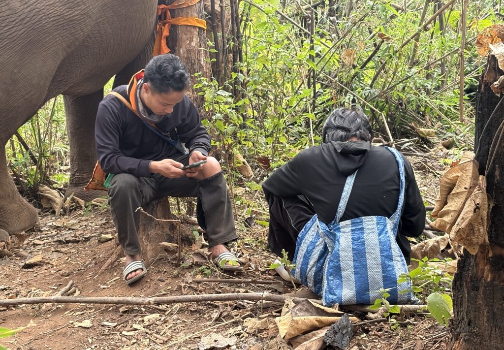 Two of the caretakers on their phones in the jungle at Sunshine for Elephants