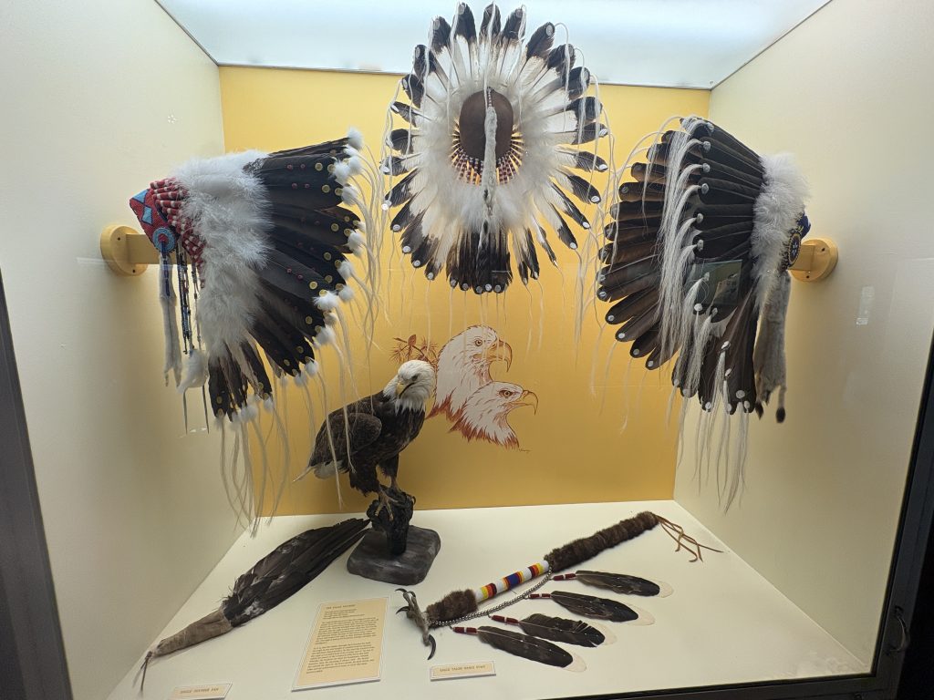 First Nations feather headdresses on display at the Buffalo Nations Luxton Museum